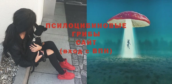 молекула духа Алзамай