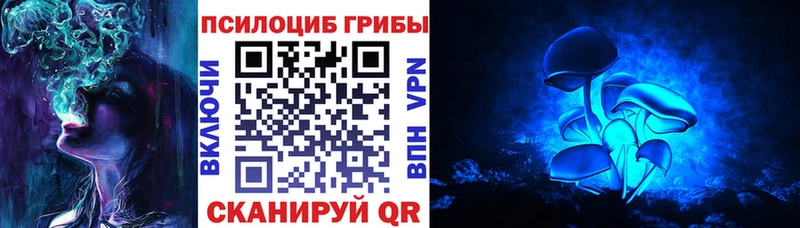 Псилоцибиновые грибы Psilocybe Азнакаево